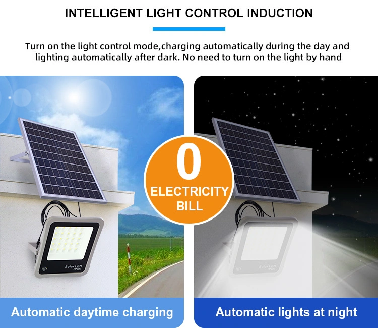 Cheap Portable Remote Control Security SMD 12V High Quality 100W Solar Flood Light